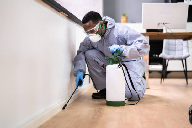 Indoor Pest Control in West Carson, CA